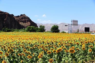 PlayStation推荐明年上半年入手的游戏 《浪人崛起》等