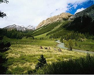 《忍者神龟：斯普林特的命运》官方宣传片 10月18日发售